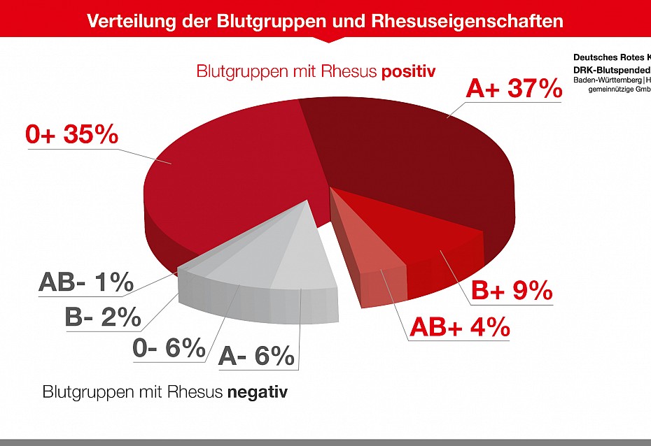 Blutgruppen-Verteilung Und Ihre Bedeutung Fürs Blutspenden | DRK ...