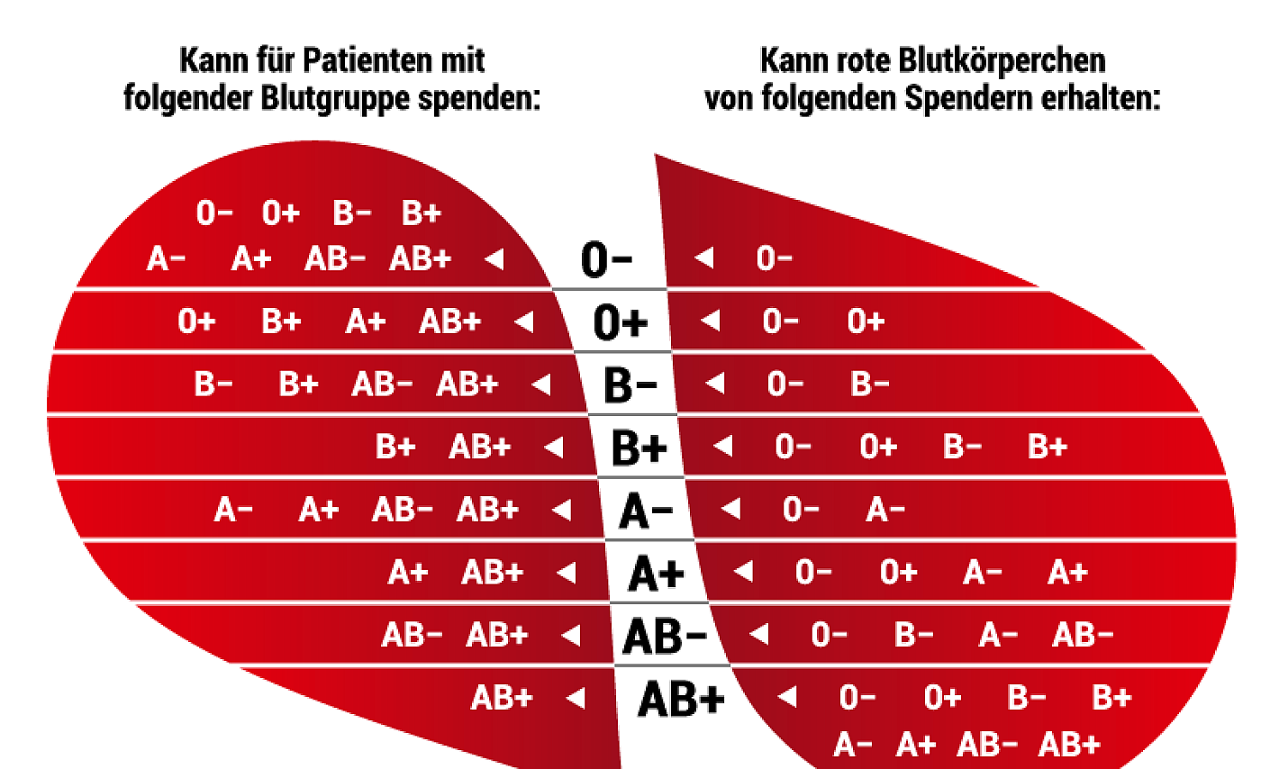 Blutgruppen-Kompatibilität | DRK Blutspende-Magazin