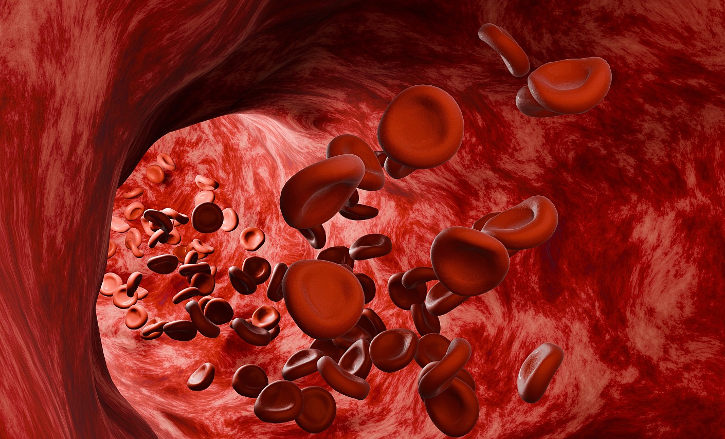 Erythrozyten sind für den Sauerstofftransport zuständig illustration-rot-rote blutkörperchen-erythrozyten