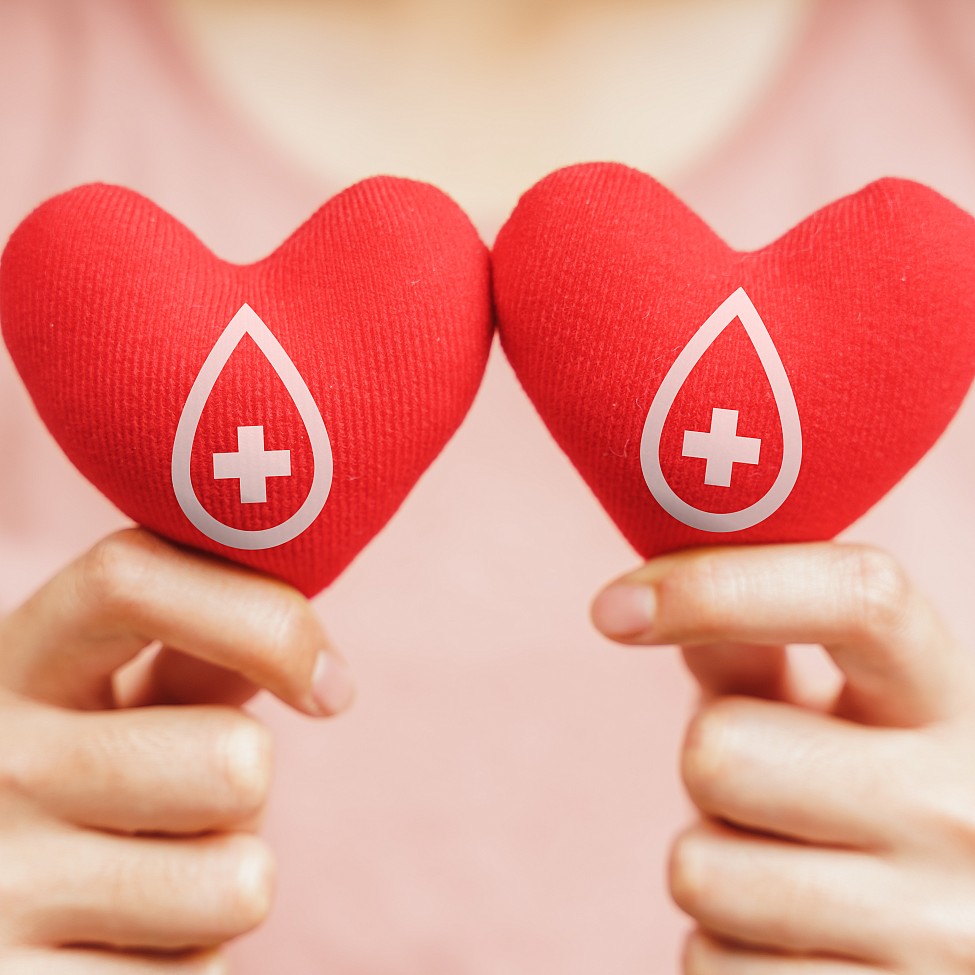 Frauenhände halten zwei rote Herzen mit Blutspende-Symbol